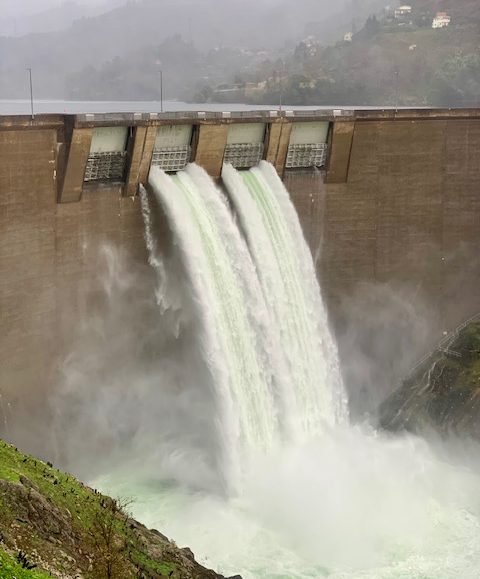 IMG_6896